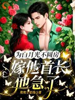 为白月光不圆房，嫁他首长他急了全本阅读