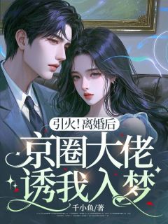 引火！离婚后京圈大佬诱我入梦精选小说