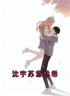 沈宇苏意林希畅销巨著