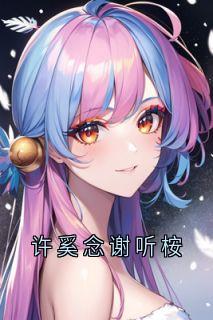 许奚念谢听桉热门小说