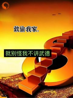 敢偷我家，就别怪我不讲武德！精品小说