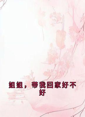 姐姐，带我回家好不好全集小说推荐