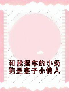 和我撞车的小奶狗是妻子小情人畅销巨作