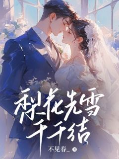 梨花先雪千千结精品小说