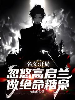 名义：开局忽悠高启兰做绝命糖枭畅销巨作