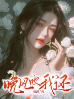 晚风吹我还精选小说