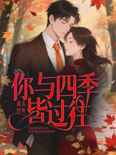 此去经年，你与四季皆过往精品阅读