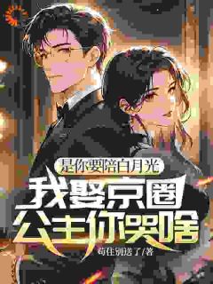 她甩的替身竟是全球首富全集小说推荐
