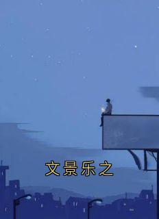 文景乐之全集小说