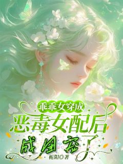 乖乖女穿成恶毒女配后，成团宠了精选小说推荐