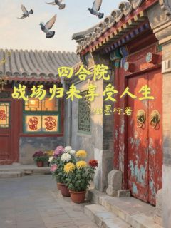四合院战场归来享受人生畅销巨作