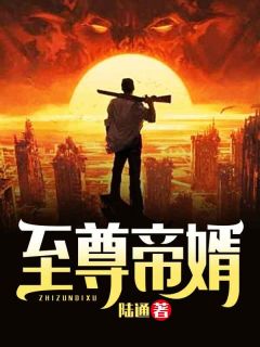 至尊帝婿全本阅读