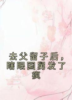 去父留子后，瞎眼国舅发了疯完整阅读