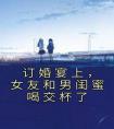 订婚宴上，女友和男闺蜜喝交杯了畅销小说推荐