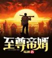 至尊帝婿全本阅读