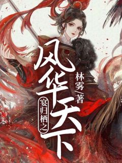 宴归栖之风华天下完整阅读