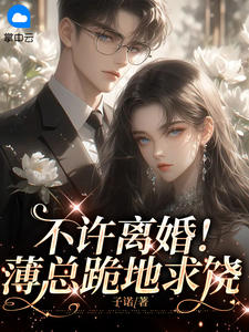 不许离婚！薄总跪地求饶全本阅读
