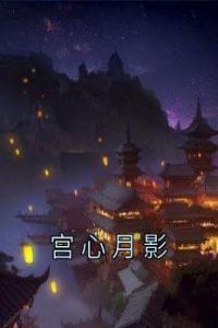 宫心月影高质量小说