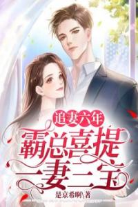追妻六年，霸总喜提一妻三宝畅销小说推荐