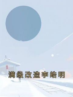 满级改造李皓明完整版