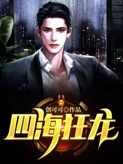 四海狂龙畅销巨著