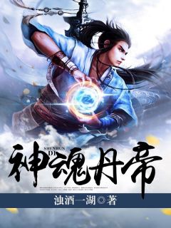 神魂丹帝精品小说