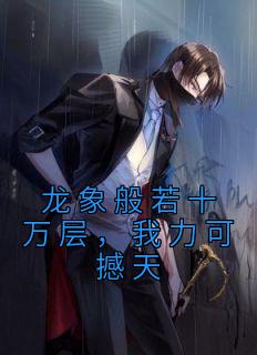 龙象般若十万层，我力可撼天精品小说