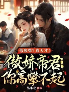 假废材？真天才！傲娇帝君你高攀不起精选小说推荐