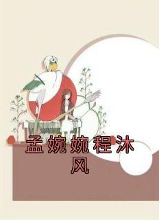 孟婉婉程沐风热门小说