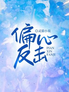 偏心反击高质量小说