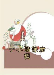 宁小满徐彦枫最新热门小说