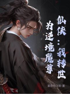 仙侠：我转世为逆境魔尊高质量小说