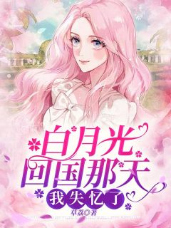 白月光回国那天，我失忆了畅销巨作