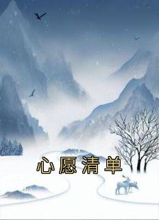 心愿清单全章阅读