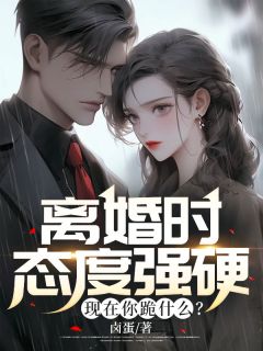 离婚时态度强硬，现在你跪什么？精选小说