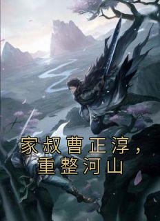 家叔曹正淳，重整河山精选小说