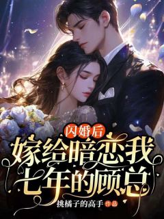 闪婚后，嫁给暗恋我七年的顾总全集小说