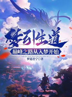 梦引生道：巅峰之路从入梦开始高质量小说