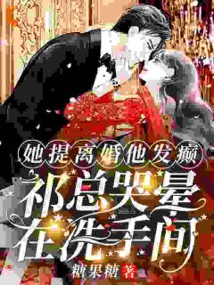 她提离婚他发癫，祁总哭晕在洗手间全集小说推荐