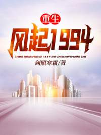 重生：风起1994精选小说推荐
