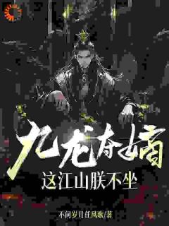 九龙夺嫡，这江山朕不坐畅销小说推荐