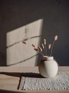 末日，恋爱脑姐姐害死我精品小说