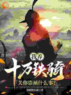我养十万铁骑，关你崇祯什么事？完整版