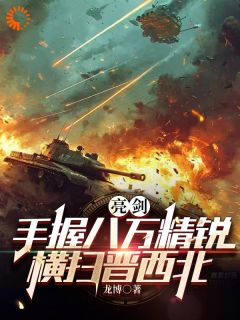 亮剑：手握八万精锐，横扫晋西北全集小说