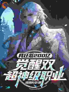当你还在打小怪，我已经觉醒双职业高质量小说