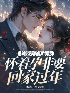 老婆为了见前夫，怀着孕非要回家过年畅销小说推荐