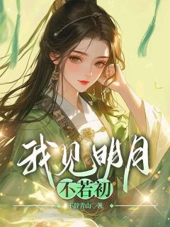 我见明月不若初精品小说