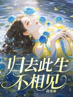 归去此生不相见全文阅读