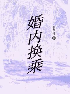 婚内换乘畅销巨著