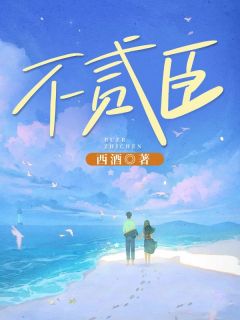 不贰臣免费看